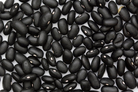  Black Turtle Beans