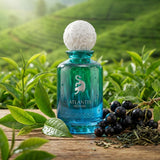 Atlantis Homme Perfume Laverne 100ml-4