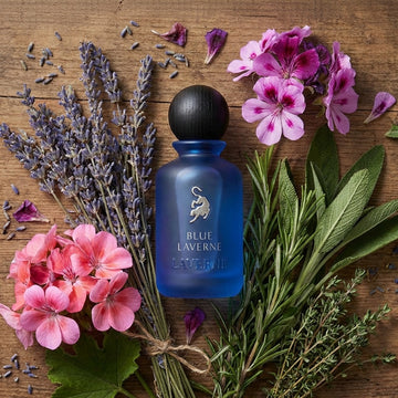 Blue Laverne Perfume 100ml-2