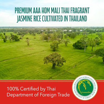 Green Dragon Thai Fragrant Jasmine Rice 10KG-3