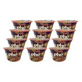 Mr Noodles Pho Hot Beef Noodle Soup 115g X 12