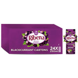 Ribena Ready to Drink Blackcurrant 250ml X 24
