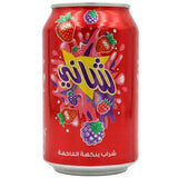 Shani Fruit Flavored Drink 300ml